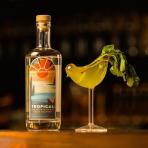 Beyond Distilling Company - Tropical Gin (750)