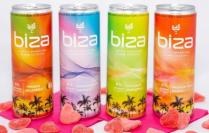 Biza Island Cocktail - Mango Jalapeno Hard Seltzer (4 pack 355ml cans) (4 pack 355ml cans)