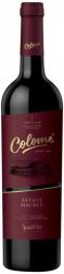 Colome - Malbec High Altitude Vineyards Salta 2019 (750ml) (750ml)